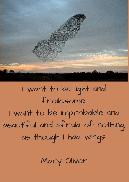 I want to be light and frolicsome.I want to be improbable and beautiful and afraid of nothing,as though I had wings. copy