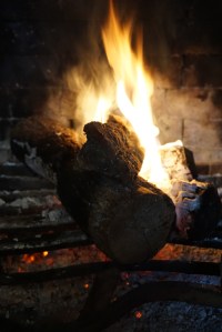 Fire by Margaret Gibson Simon