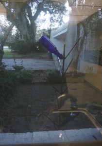 View from my kitchen window, by Margaret Simon