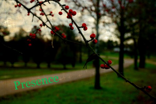 photo by Margaret Gibson Simon enhanced on Picmonkey