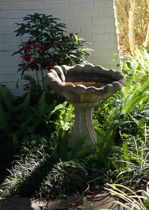 Morning birdbath by Margaret Simon