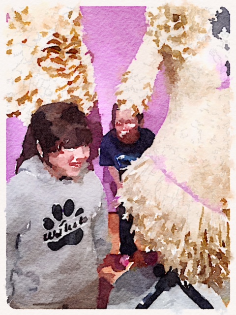 An art display of dresses made from cut up romance novels.  