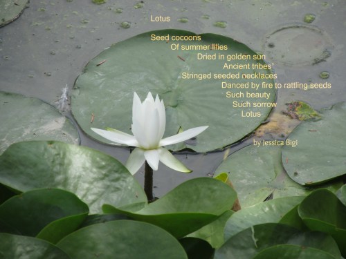 Photo and poem by Jessica Bigi, all rights reserved.