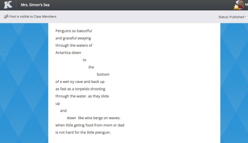 Madison penguin poem