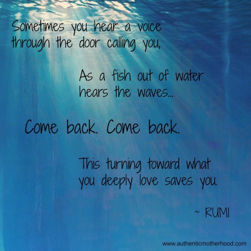 Rumi quote