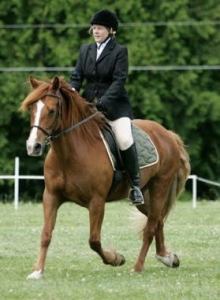 Julie riding Abbie. She and Abbie have been together for 15 years.  