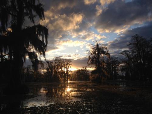 Lake Martin sunset by Sandra Sarr.