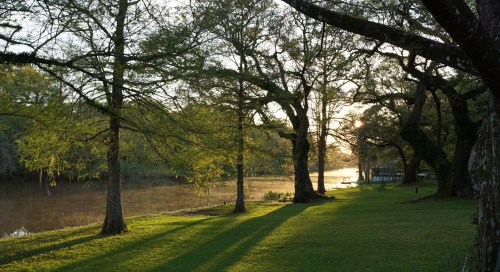 Spring sunrise by Margaret Simon