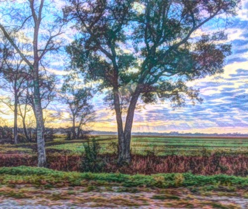 Sunrise field created in Painteresque