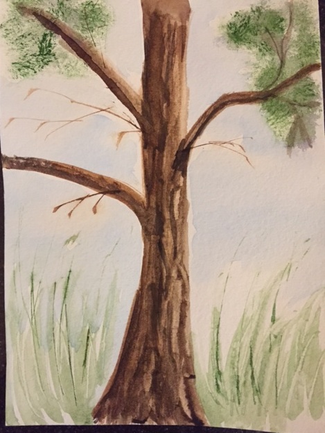 Watercolor pine tree by Margaret Simon