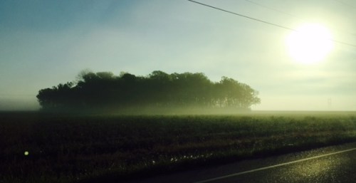 foggy sunrise