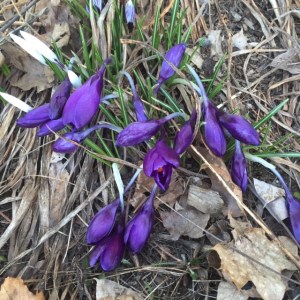 photo by Kimberley Moran