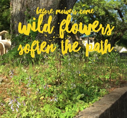 Poem-a-day #3, lune by Margaret Simon, image poems