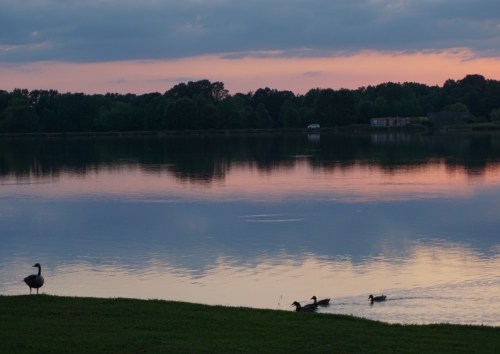 Lake sunset