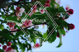 summer poetry swap (2)