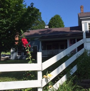 Hollyhocks at Old Bedlam Farm.