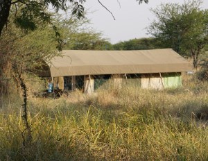 Serengeti tent camp