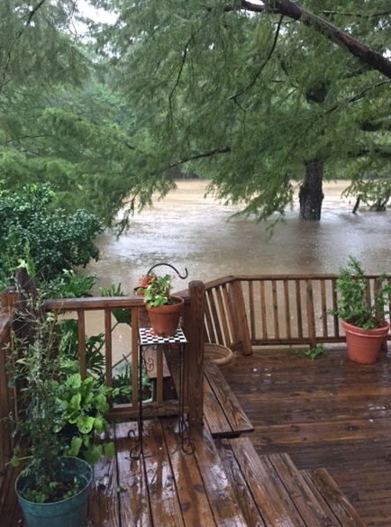 My backyard on Friday, Aug. 12, 2016. The water has to cover the deck before it reaches the house.