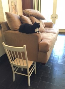 Sofas raised up on kitchen chairs. Mimi watches the sun come out.