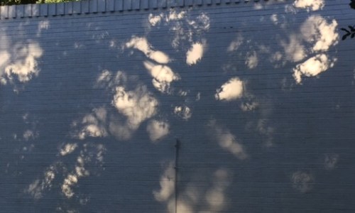 shadows-on-house-wall