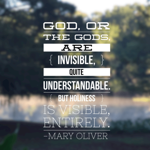 mary-oliver-quote-word-swag