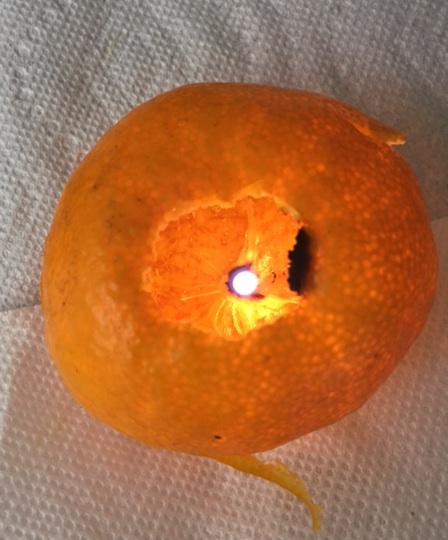 A satsuma candle made by Paul using a satsuma peel and a touch of olive oil.