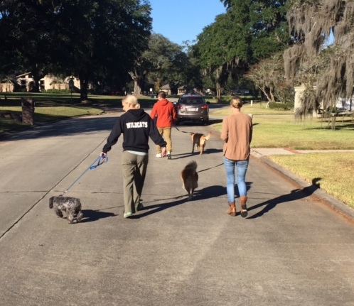 My married daughter, Katherine, has two dogs, so we took daily walks in the neighborhood.