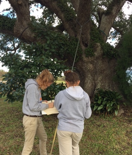 Sketching a memory of Mr. Al.