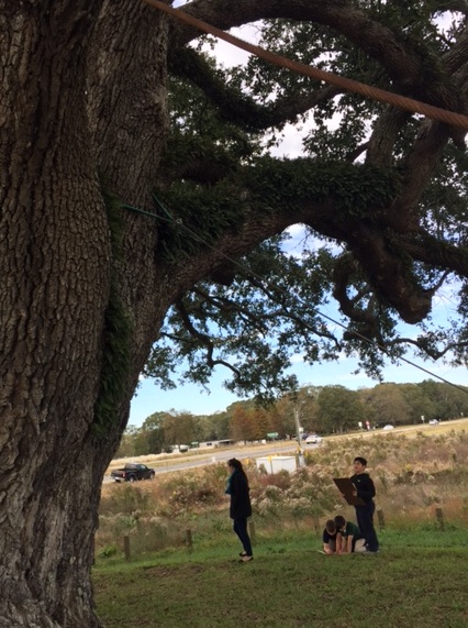 Marveling in the shade of mighty Mr. Al. 