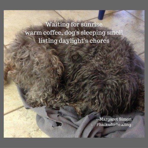 waiting-for-sunrise-haiku