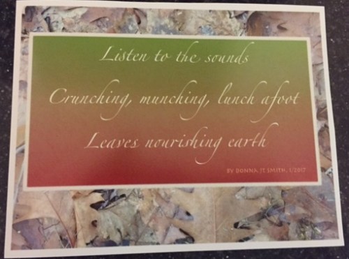 Poem from Donna Smith: Listen to the sounds crunching, munching, lunch a foot Leaves nourishing earth