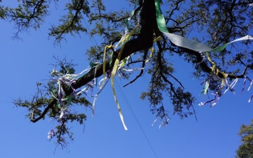 tree-streamers