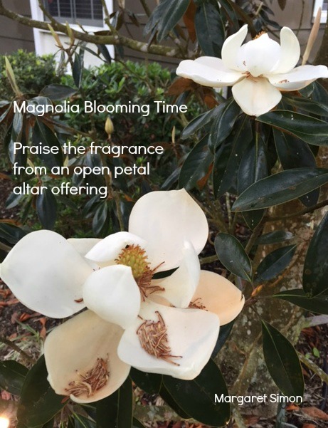 magnolia haiku 4